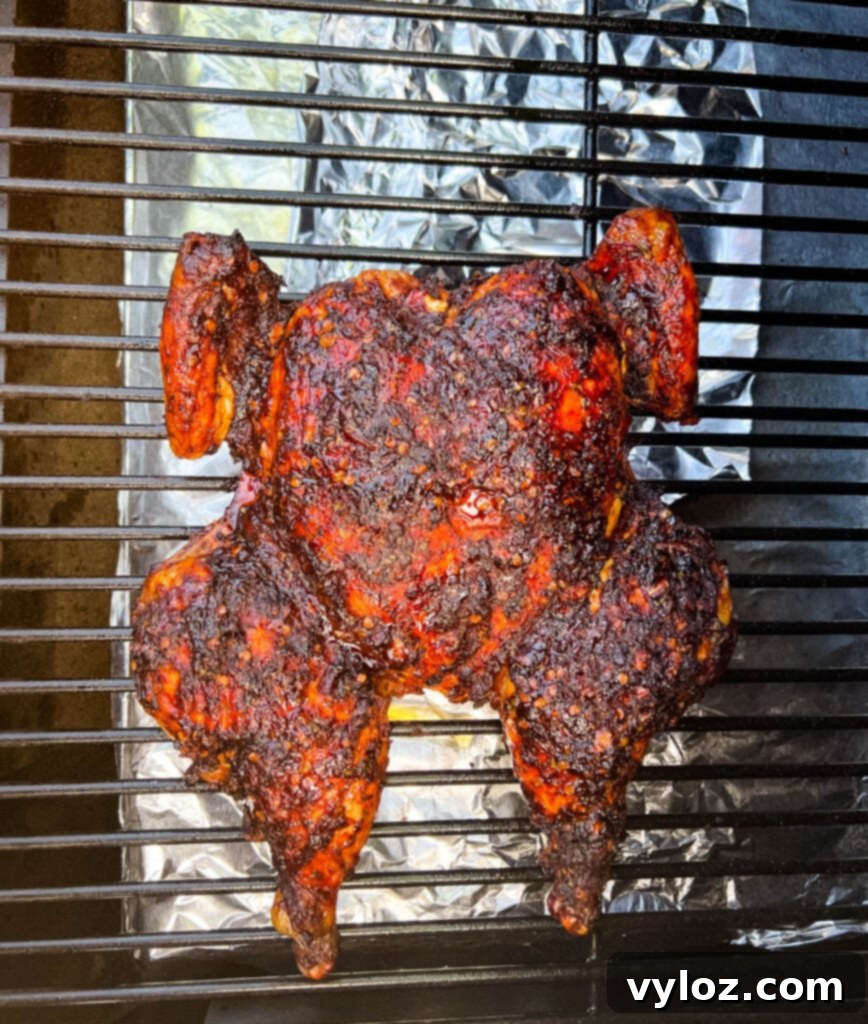 Ultimate Traeger Smoked Whole Chicken 11 whole chicken on a Traeger pellet grill smoker