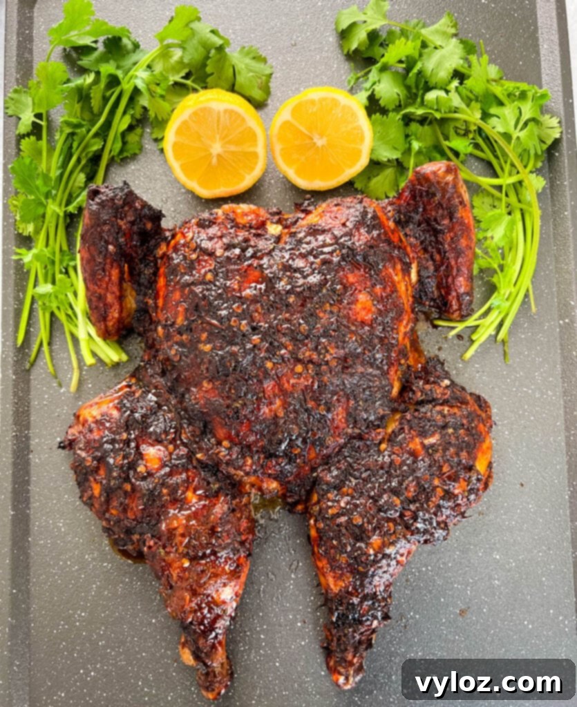 Ultimate Traeger Smoked Whole Chicken 12 smoked whole chicken on a pan