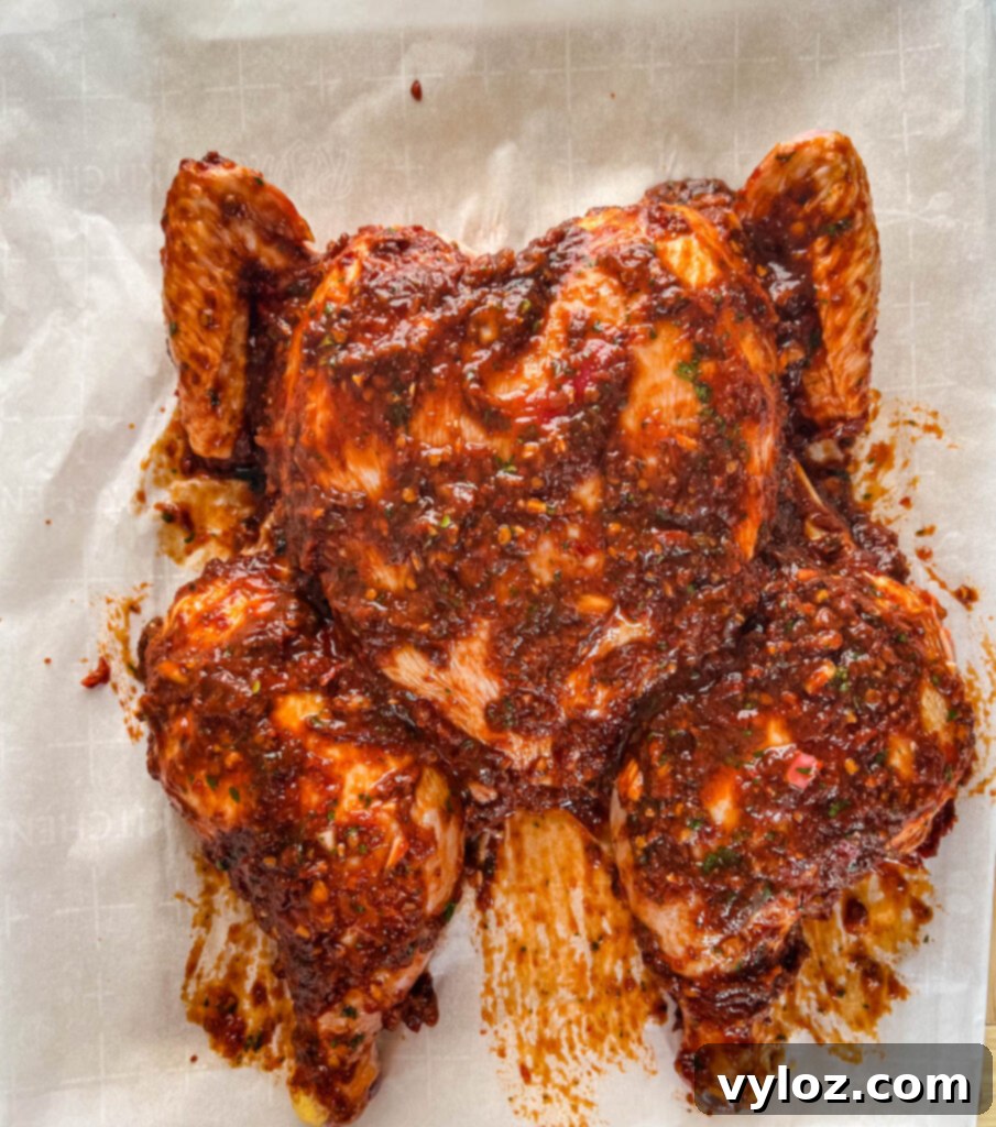 Ultimate Traeger Smoked Whole Chicken 8 seasoned and marinated raw whole chicken on a cutting board