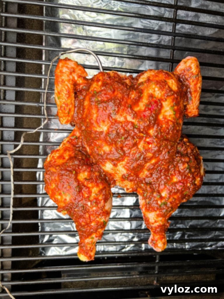Ultimate Traeger Smoked Whole Chicken 10 seasoned and raw whole chicken with a probe on a Traeger pellet grill smoker