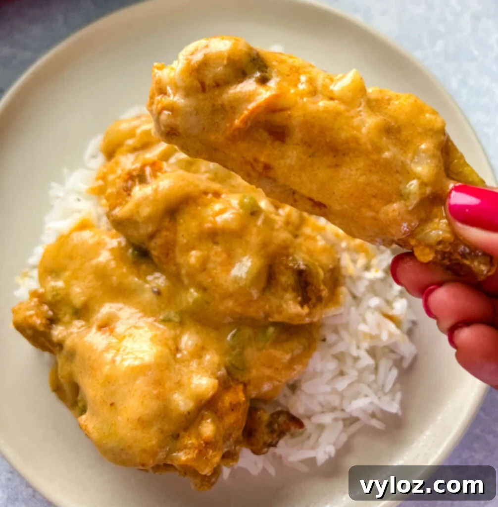 Savory Smothered Chicken Wings 11 person holding smothered chicken wing with gravy