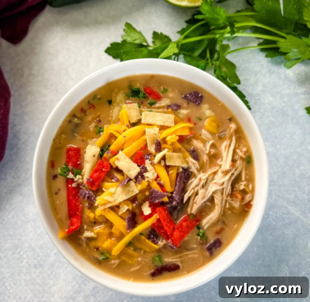 Hearty Slow Cooker Shredded Chicken Taco Soup 11 slow cooker chicken taco soup in a white bowl with tortilla strips and cheese
