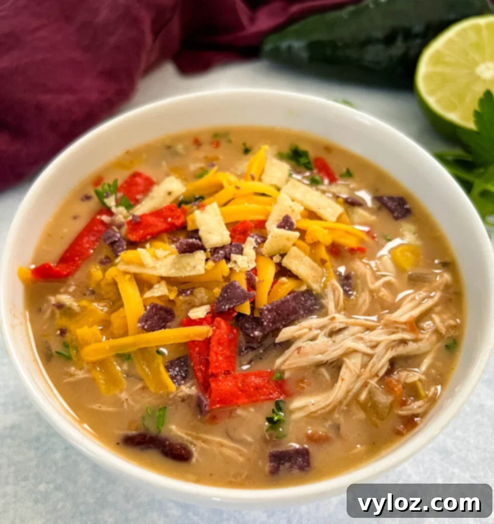 Hearty Slow Cooker Shredded Chicken Taco Soup 12 slow cooker chicken taco soup in a white bowl with tortilla strips and cheese
