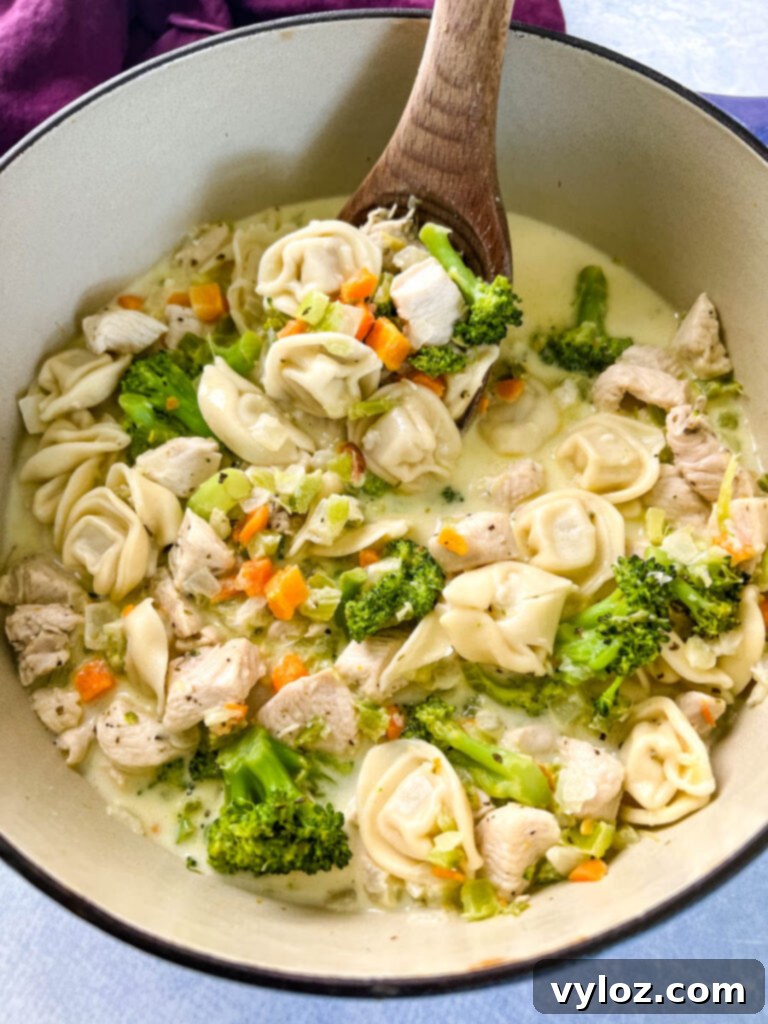 chicken Alfredo soup in a large Dutch oven pot