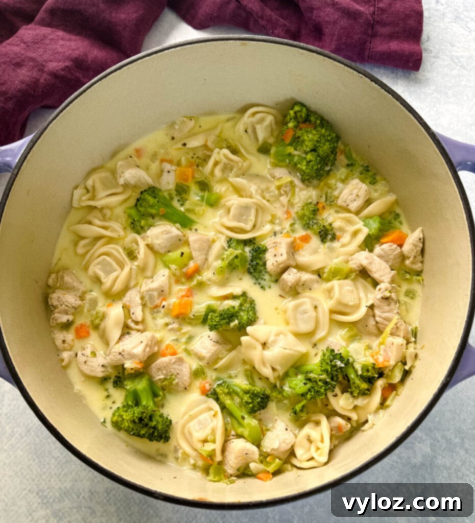 chicken Alfredo soup in a large Dutch oven pot