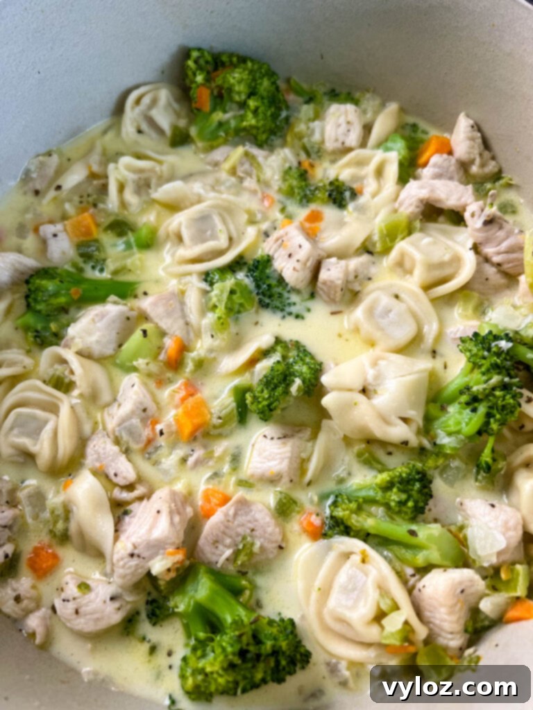 chicken Alfredo soup in a large Dutch oven pot