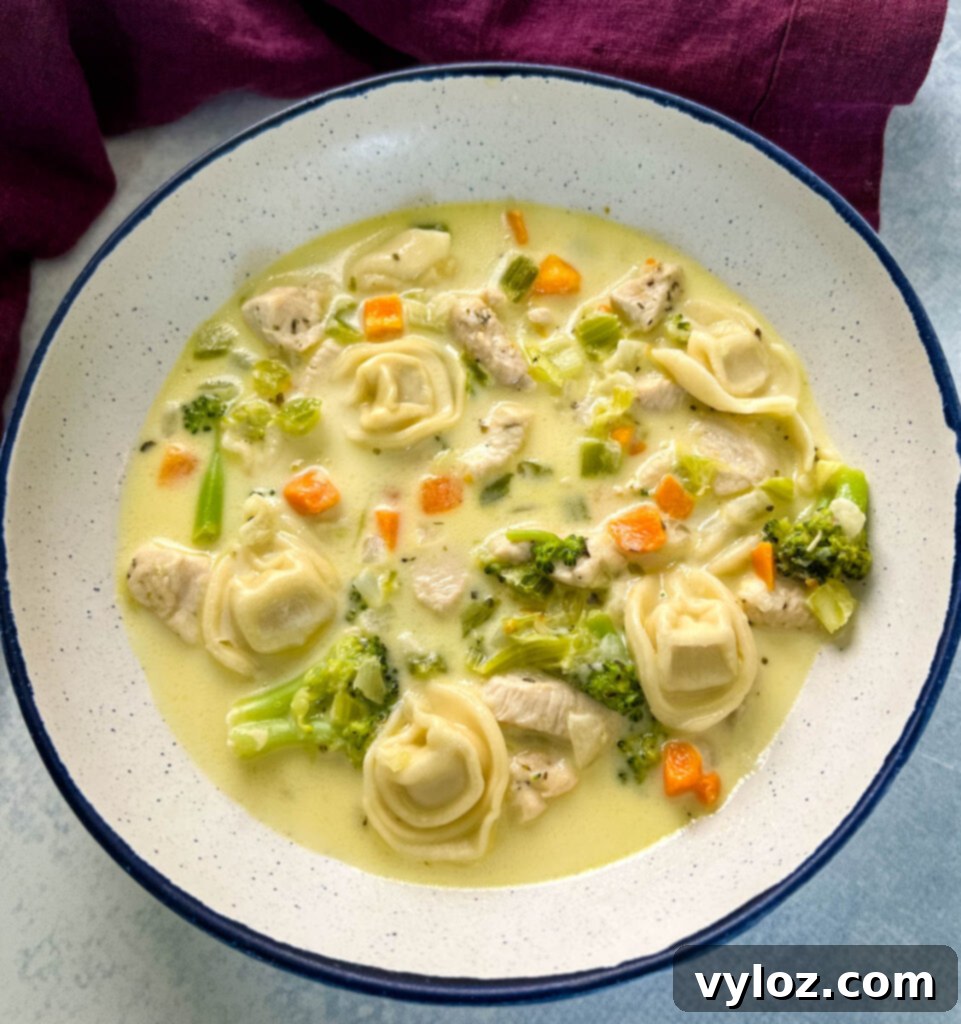 chicken Alfredo soup in a white bowl