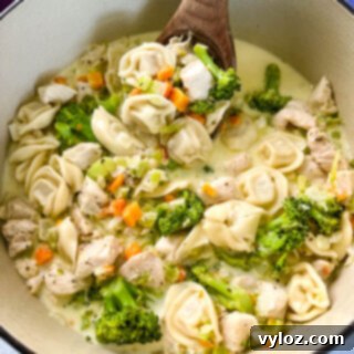 chicken Alfredo soup in a large Dutch oven pot