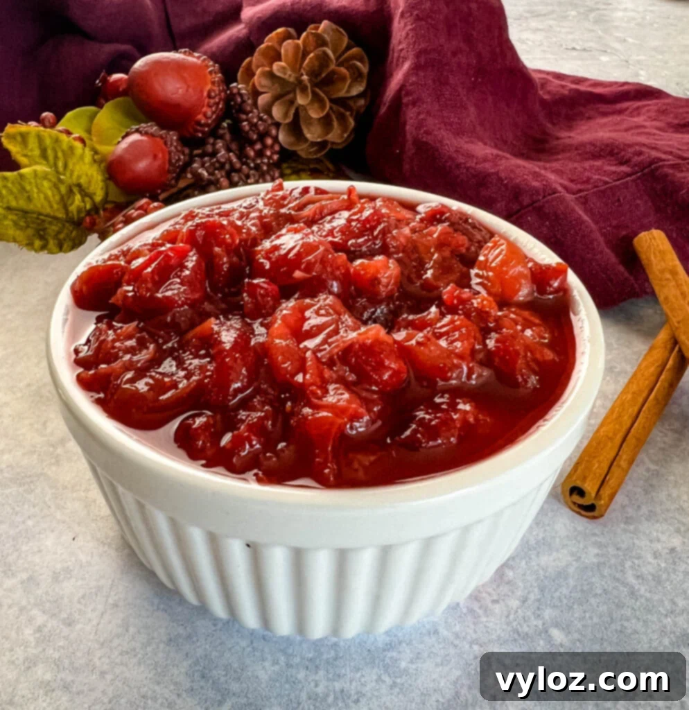 slow cooker Crockpot pot homemade cranberry sauce in a white bowl