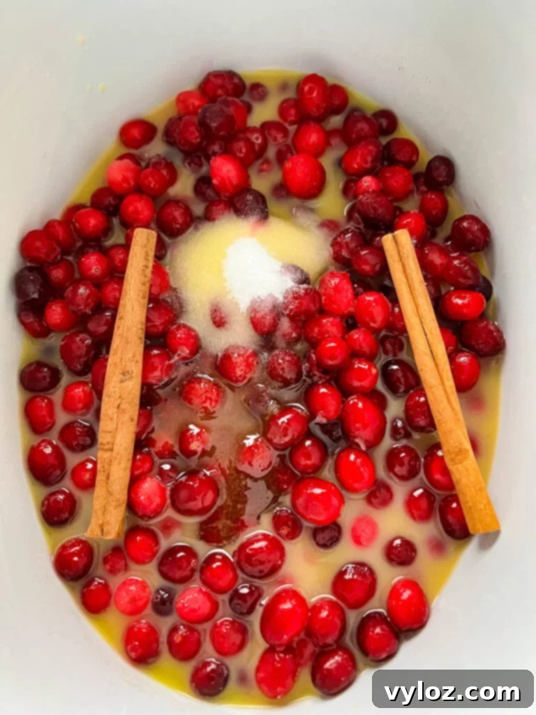 cranberry sauce, cinnamon, sugar, and orange juice in a slow cooker Crockpot