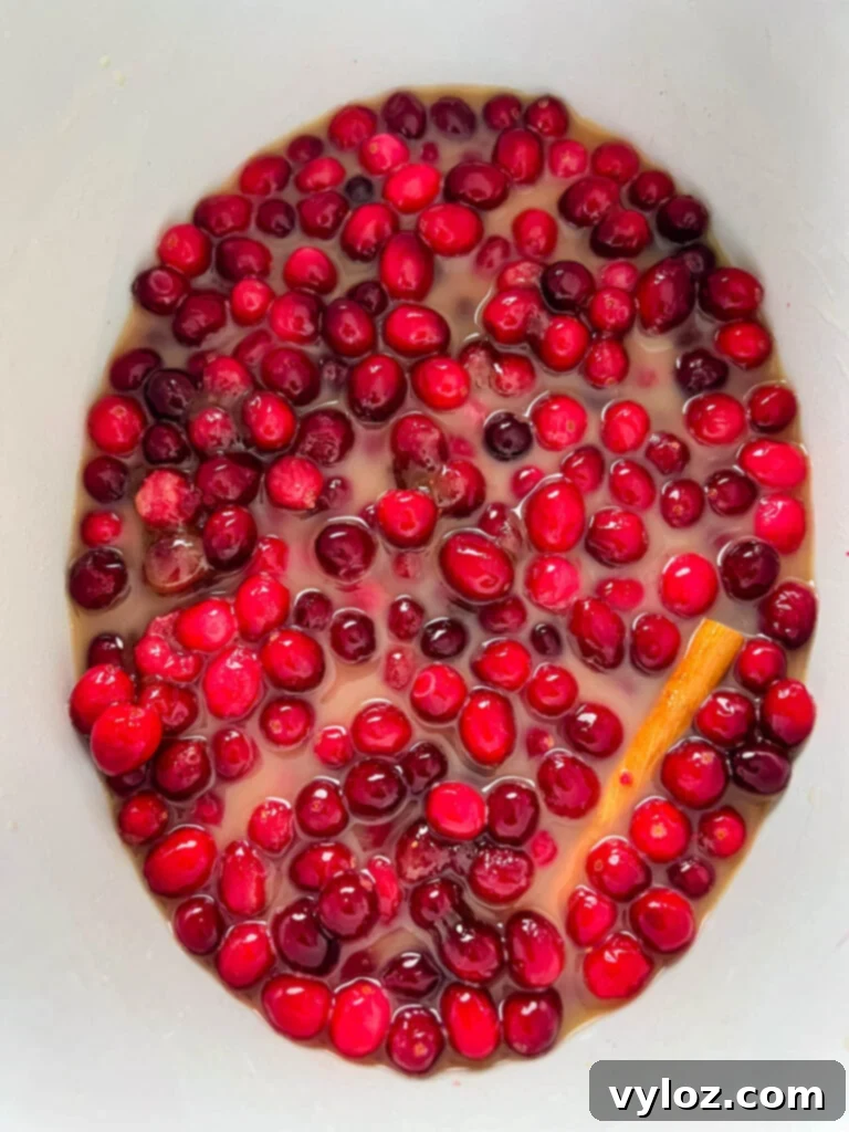 cranberry sauce, cinnamon, sugar, and orange juice in a slow cooker Crockpot