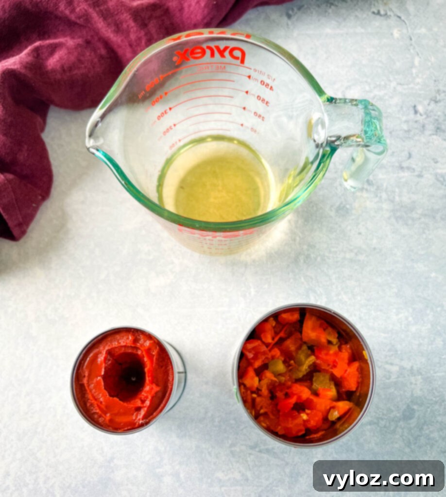 Hearty Butternut Squash Chili with Your Choice of Meat 6 Broth, tomato paste, and diced tomatoes and chilies on a flat surface.