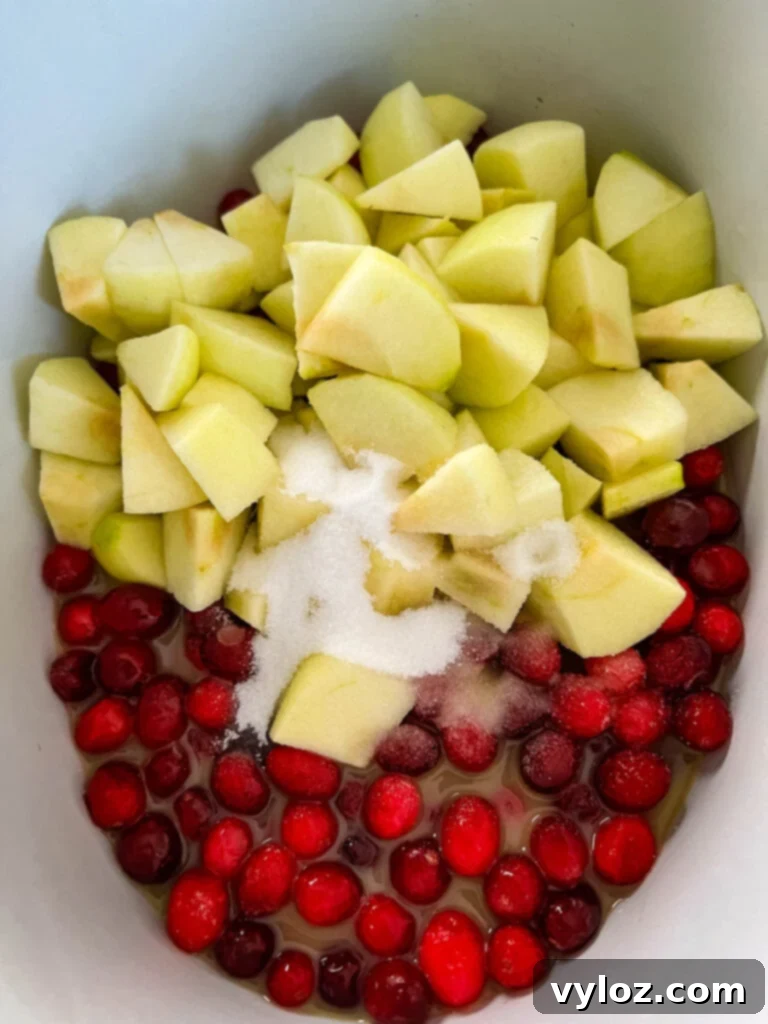 Apple Infused Cranberry Sauce 5 uncooked apple cranberry sauce in a pot