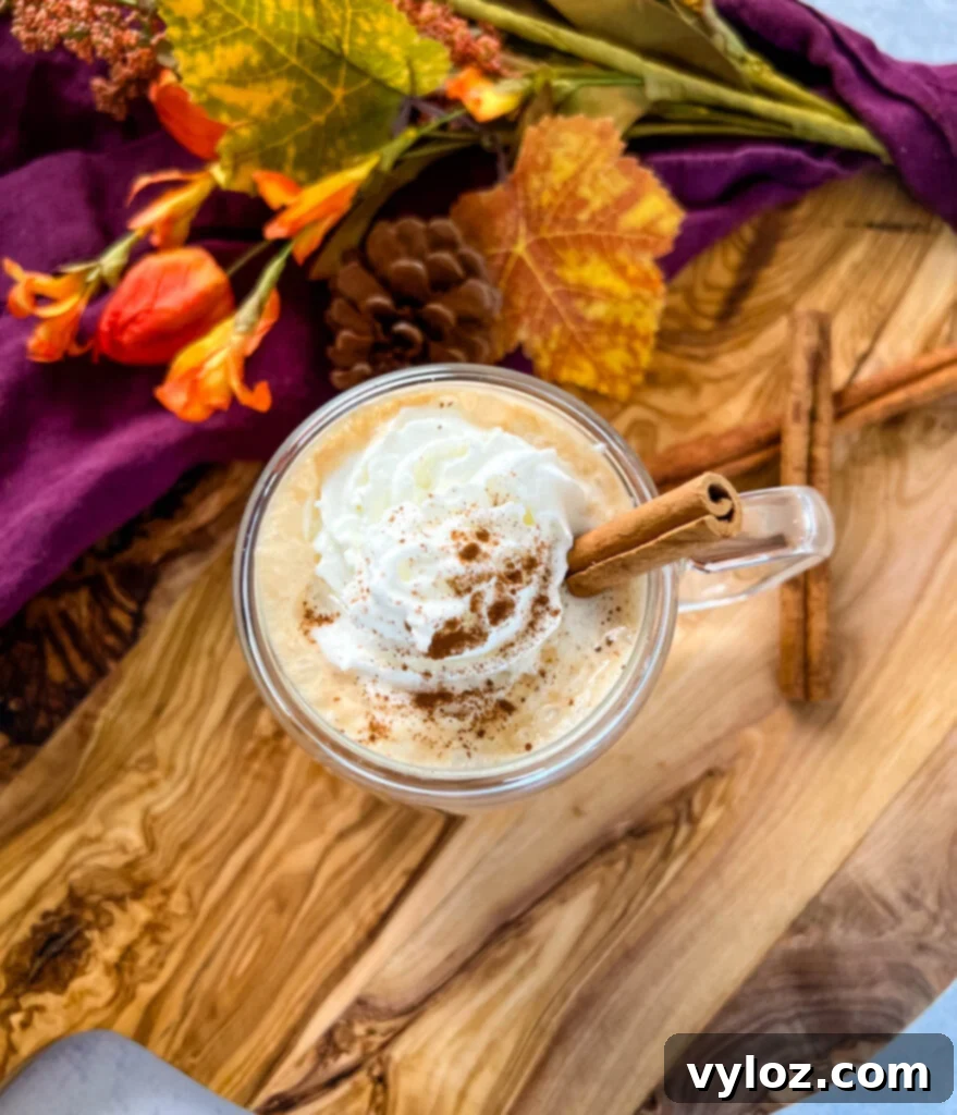 sugar free pumpkin spice latte in a mug with whipped cream and cinnamon