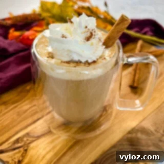 sugar free pumpkin spice latte in a mug with whipped cream and cinnamon