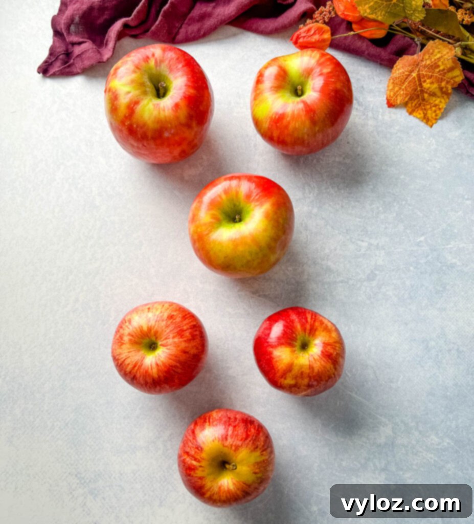 Caramel Apple Bliss 4 A mix of vibrant honeycrisp and gala apples arranged on a flat surface