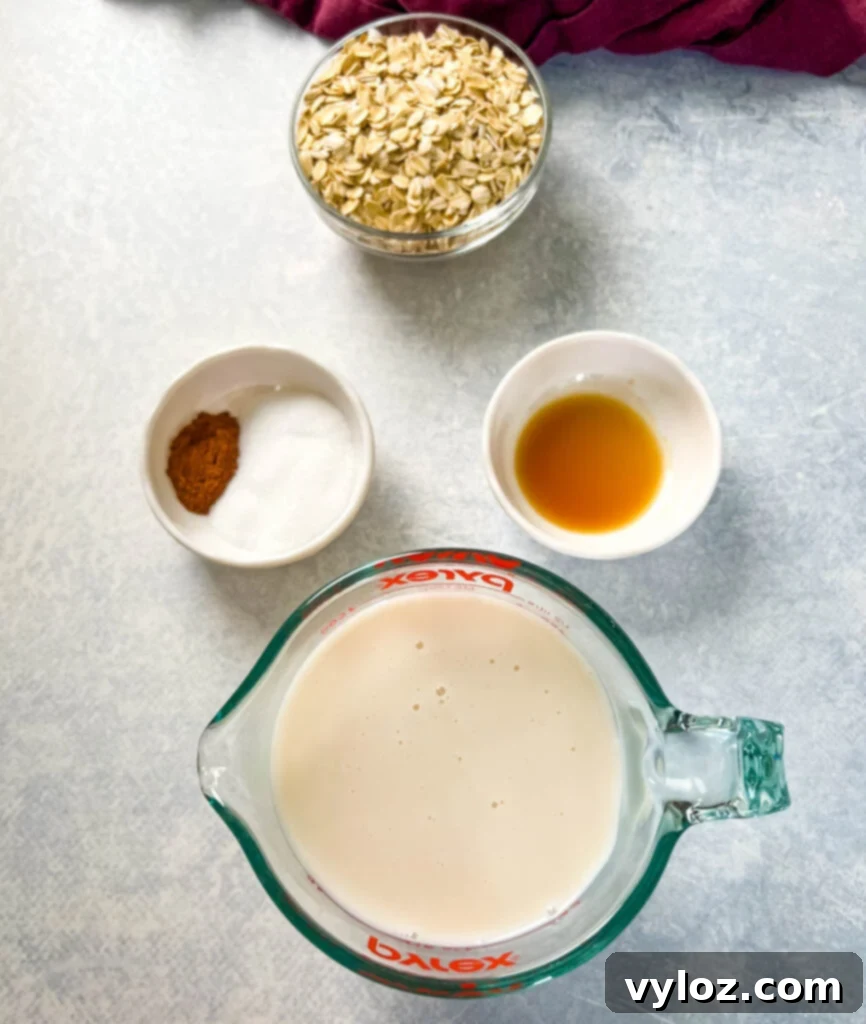 Separate bowls containing rolled oats, milk, sweetener, cinnamon, and vanilla extract, illustrating the key ingredients.