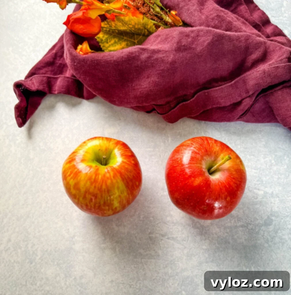 Gala and Honeycrisp apples on a flat surface, showcasing fresh ingredients for oatmeal.