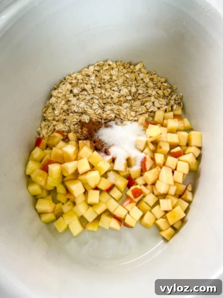 Diced apples, sweetener, cinnamon, and rolled oats combined in a Crockpot slow cooker, ready for cooking.