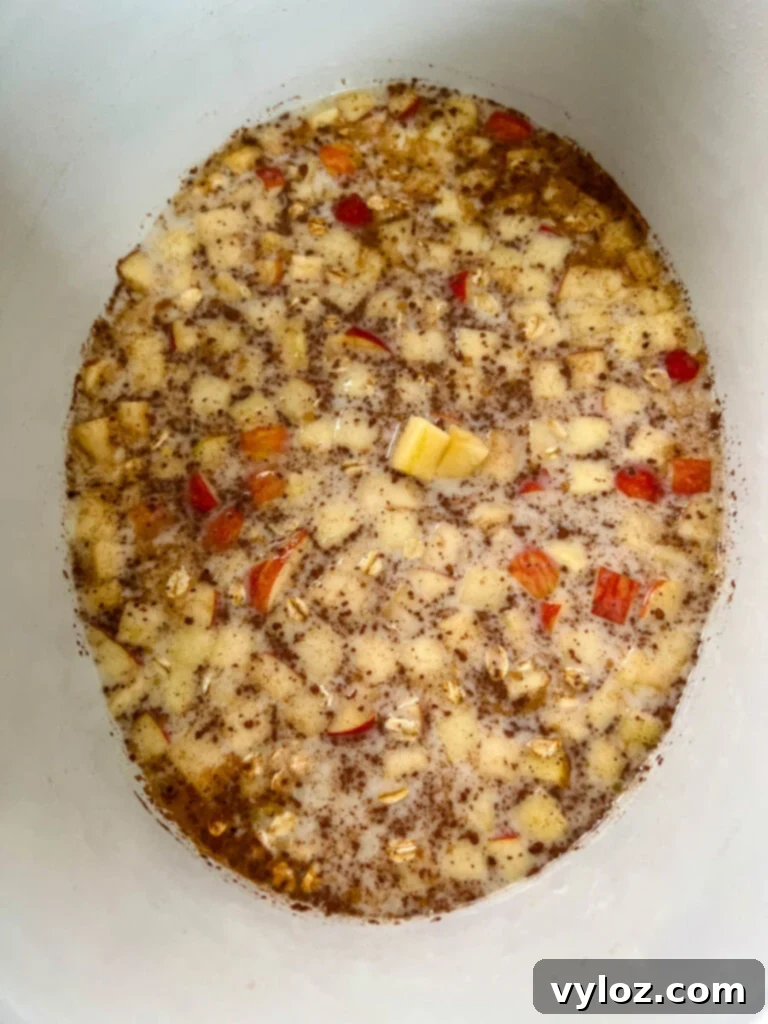 Uncooked apple oatmeal mixture resting in a Crockpot slow cooker before starting the cooking process.