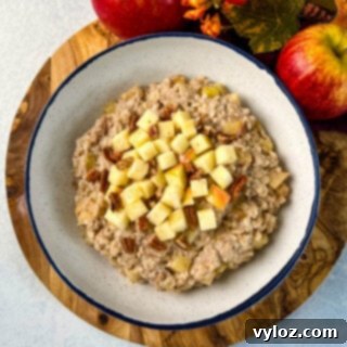 A bowl of slow cooker apple oatmeal with pecans, ready to be served.