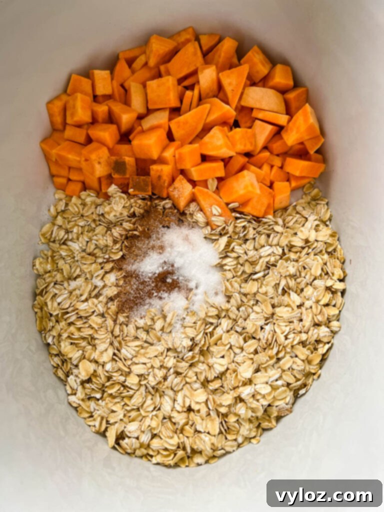 Sweet potatoes, rolled oats, cinnamon, and nutmeg in a pot, ready for cooking.