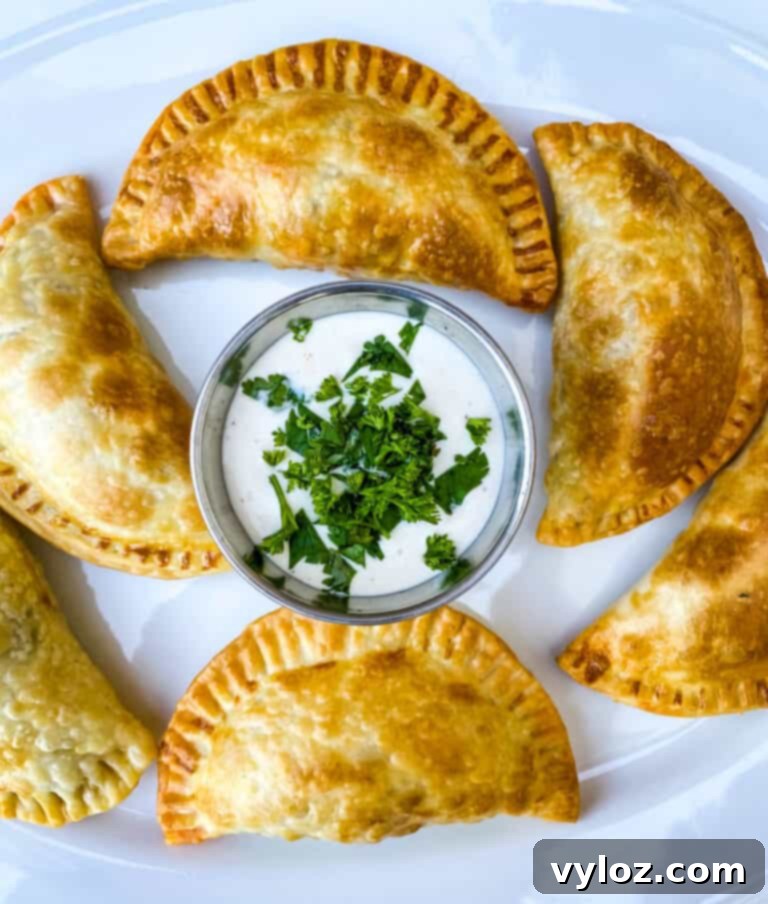 A delicious beef and cheese empanada, perfectly golden and ready for a bite.