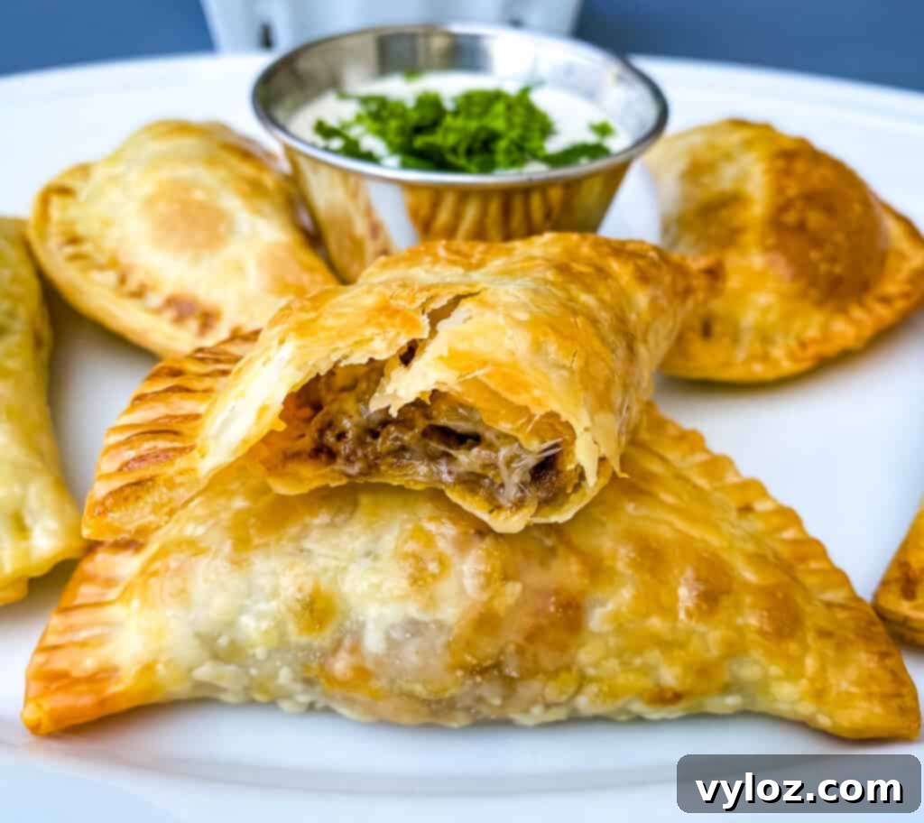 A single beef and cheese empanada artfully placed on a white plate, highlighting its perfect golden crust.