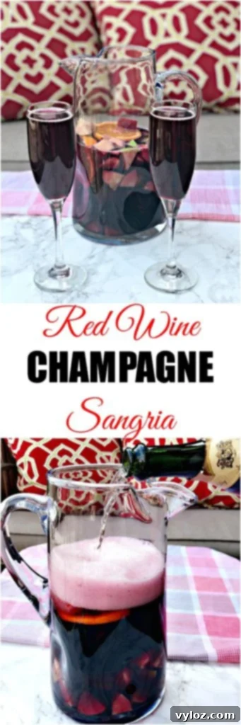 Hand holding a glass of Red Wine Sangria Champagne Mimosa