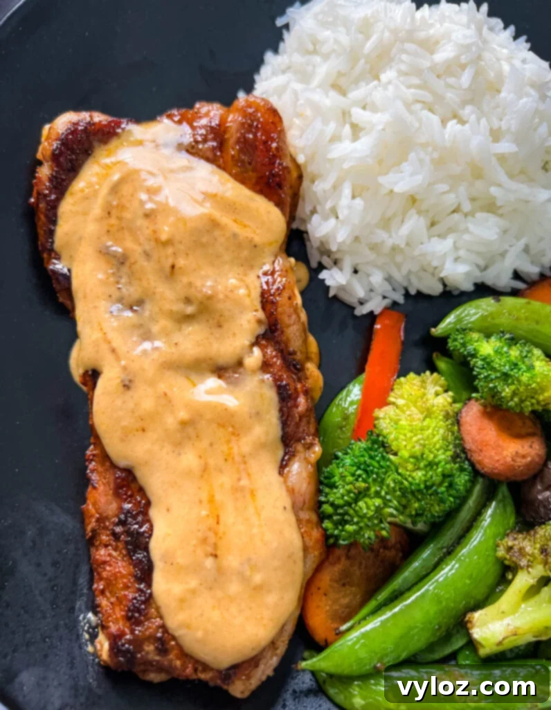smothered steak with gravy and rice and vegetables