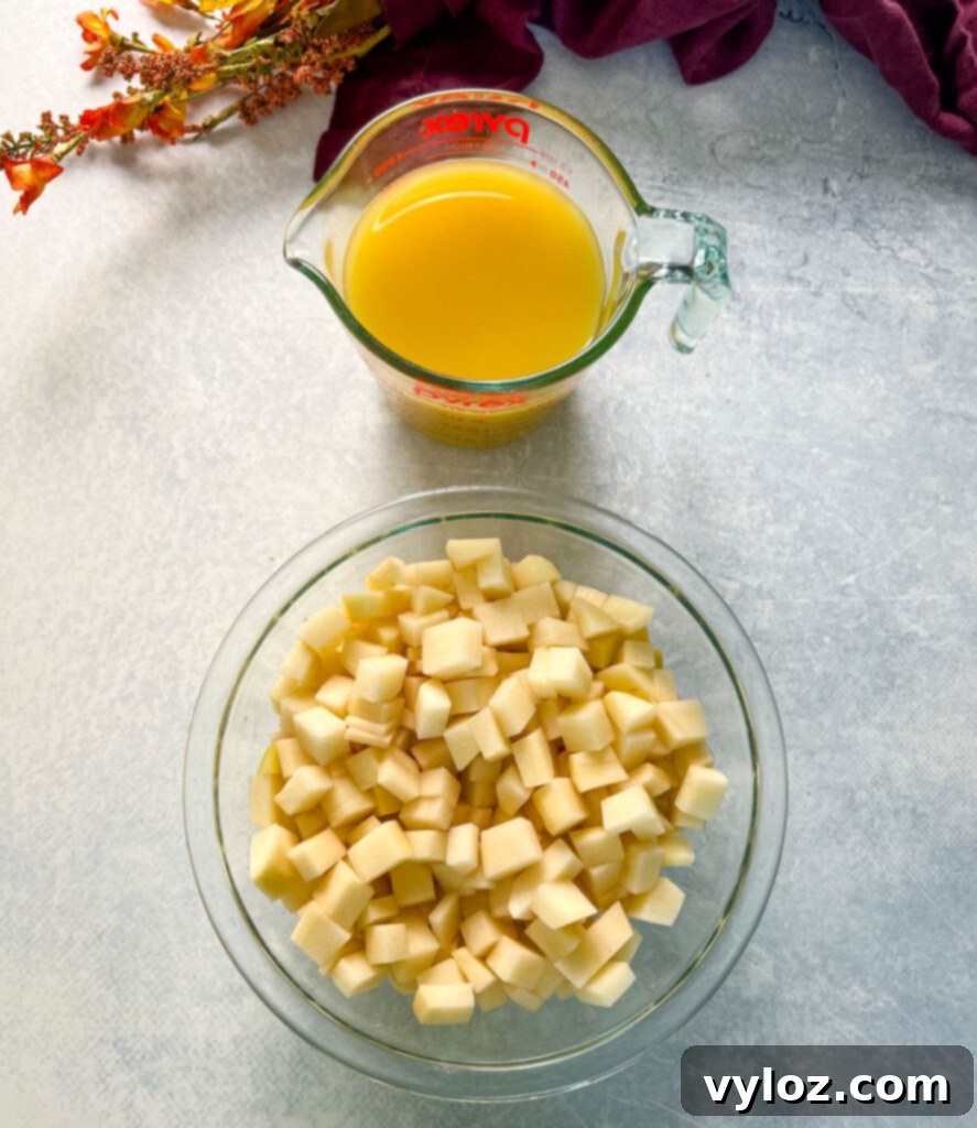 Ultimate Slow Cooker Loaded Potato and Bacon Soup 3 Two glass bowls, one filled with diced russet potatoes and the other with savory chicken broth, prepared for the slow cooker.