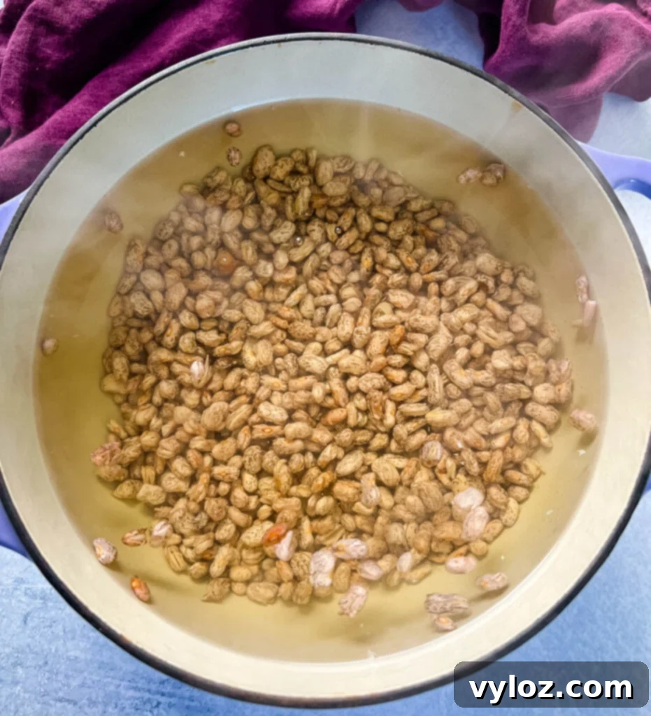 Dry pinto beans being soaked in water in a rustic Dutch oven