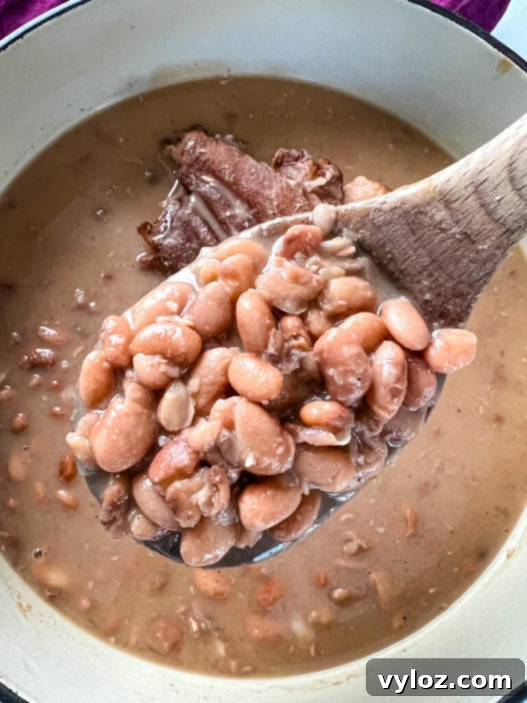 A wooden spoon lifting a serving of pinto beans and ham hocks from a pot