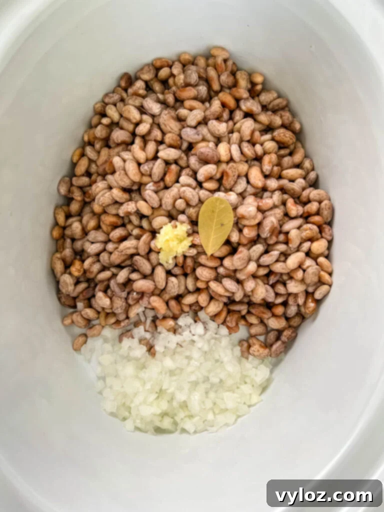 dry pinto beans, onions, bay leaves, and garlic in a slow cooker crockpot