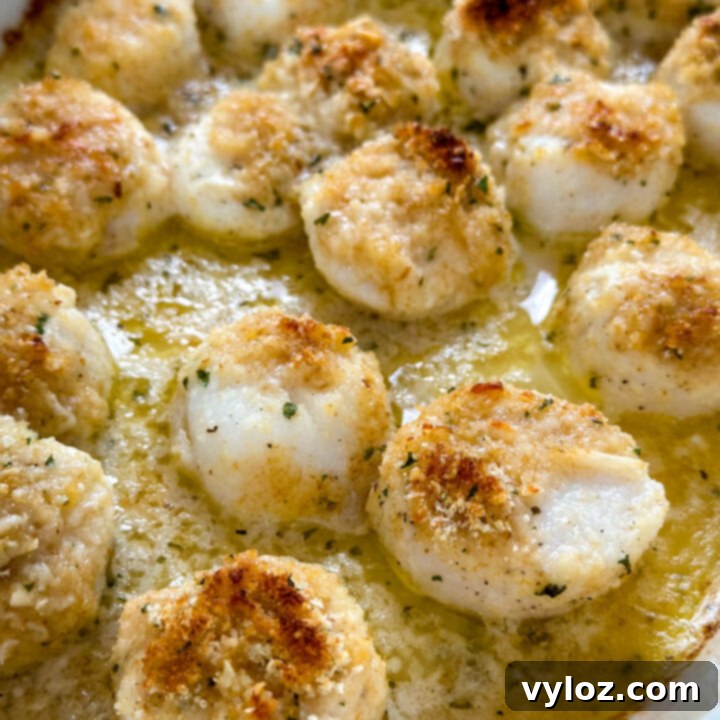 Baked Scallops in Lemon Butter Wine Sauce