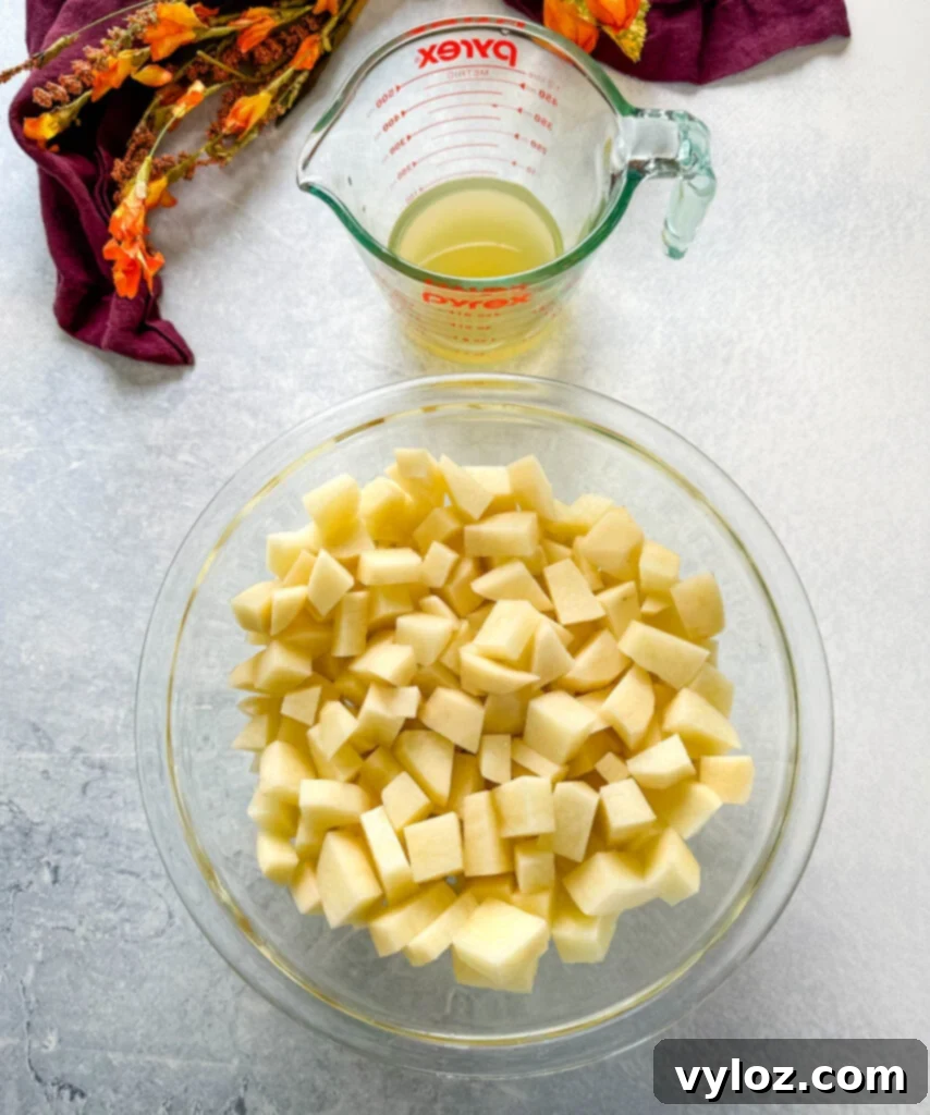 A bowl of diced potatoes next to a measuring cup of broth, prepped for cooking in a slow cooker.