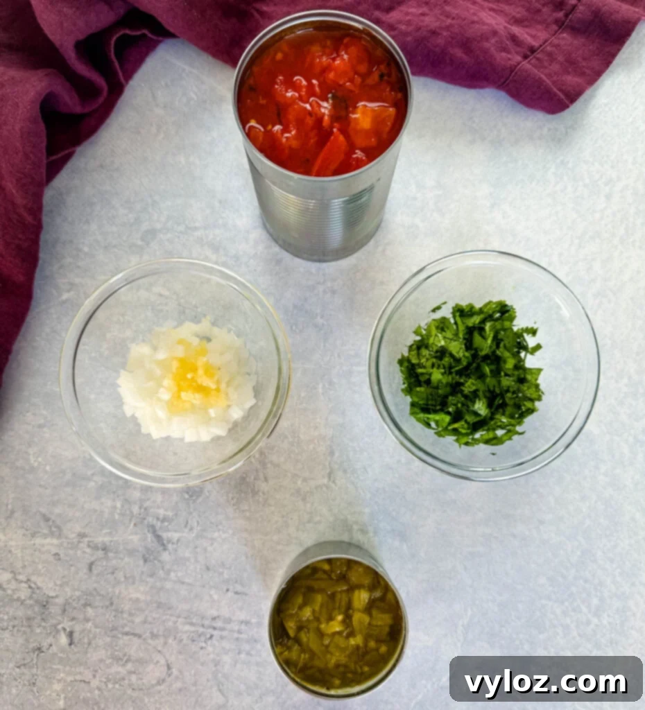 Bowls of fresh ingredients: fire roasted tomatoes, chopped cilantro, diced onions, minced garlic, and green chilies