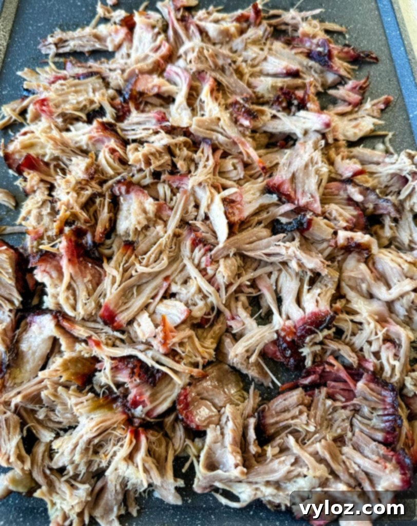 smoked pulled pork drizzled in BBQ sauce on a plate