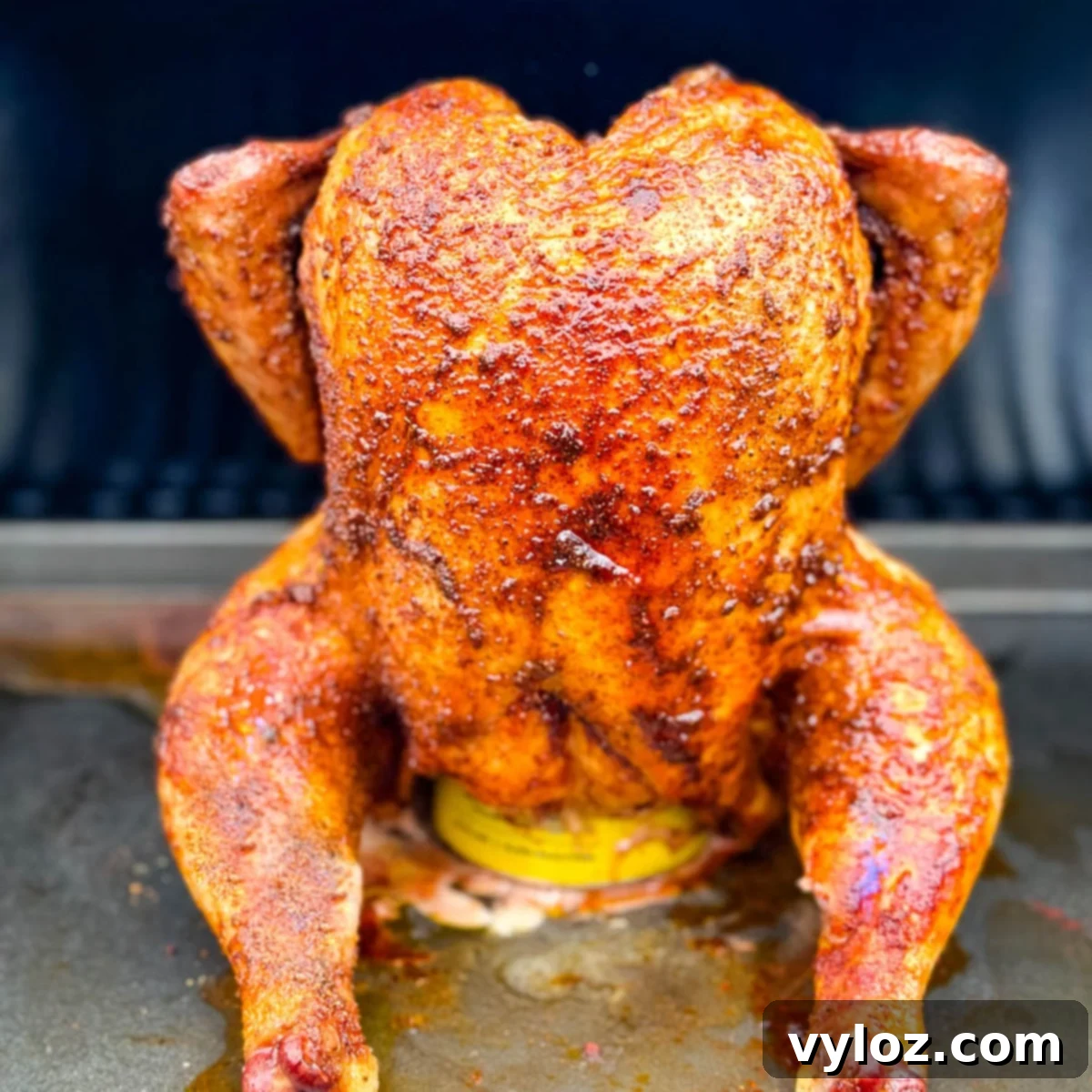 Smoked Beer Can Chicken Perfection 2 cooked, smoked seasoned whole chicken on a beer can in a Traeger smoker pellet grill