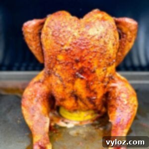 Smoked Beer Can Chicken Perfection 12 cooked, smoked seasoned whole chicken on a beer can in a Traeger smoker pellet grill