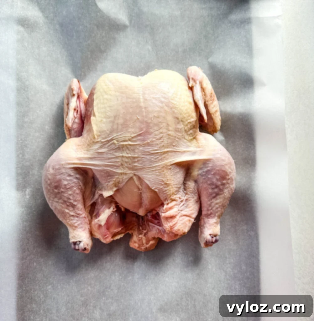 Smoked Beer Can Chicken Perfection 6 raw chicken on parchment paper