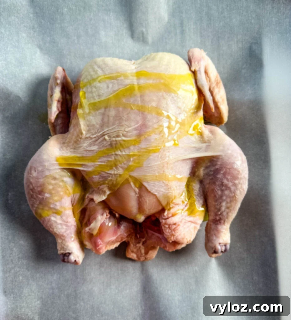 Smoked Beer Can Chicken Perfection 7 raw whole chicken drizzled with olive oil on parchment paper