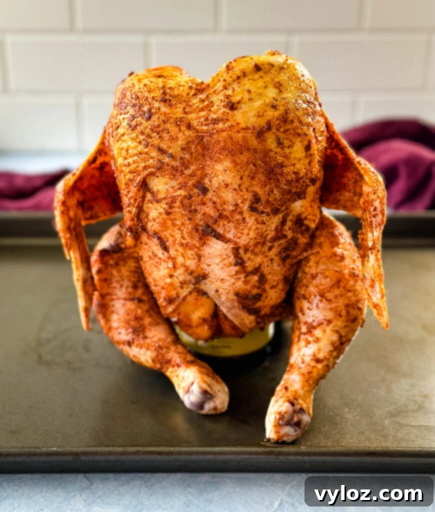 Smoked Beer Can Chicken Perfection 9 raw seasoned whole chicken on top of a beer can