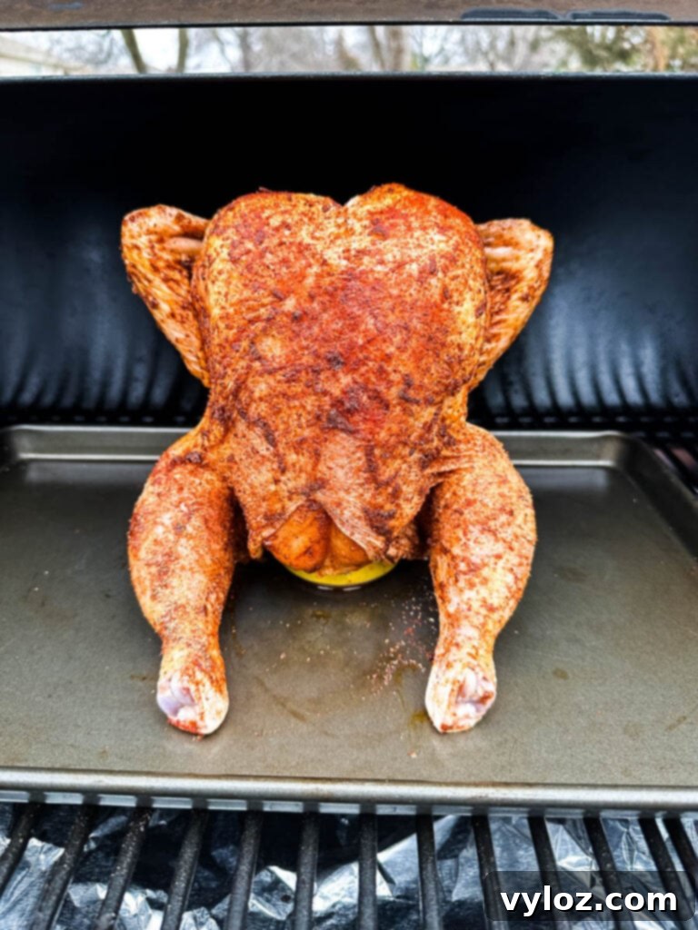 Smoked Beer Can Chicken Perfection 10 raw seasoned whole chicken on a beer can in a Traeger smoker pellet grill