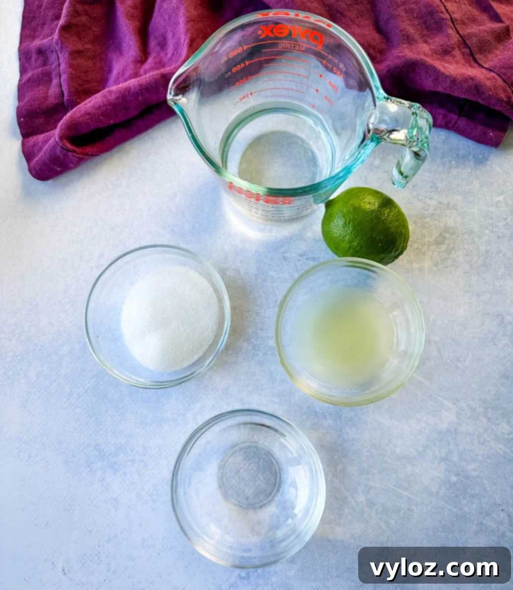 water, sweetener or sugar, fresh lime juice, and tequila in separate glass bowls
