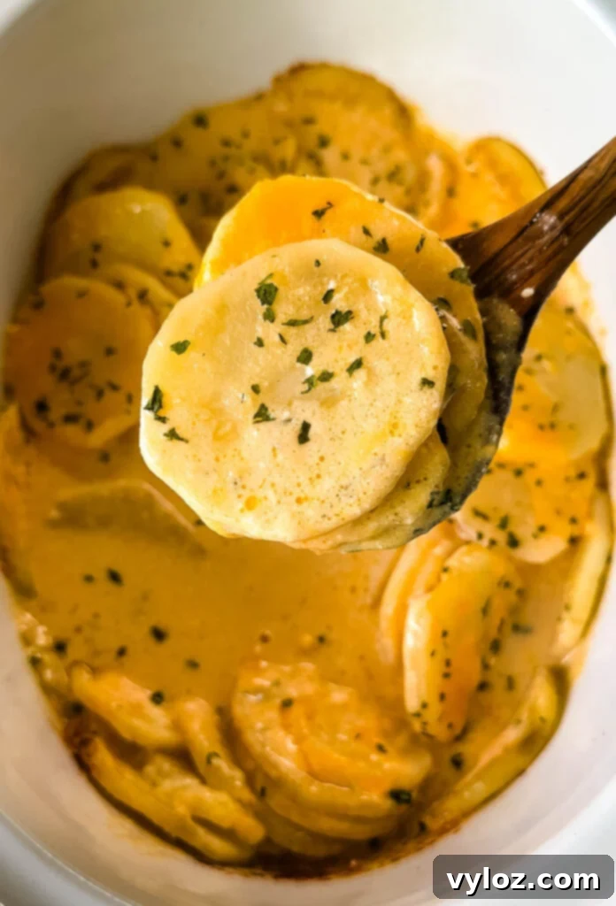 wooden spoonful of slow cooker Crockpot cheesy potatoes