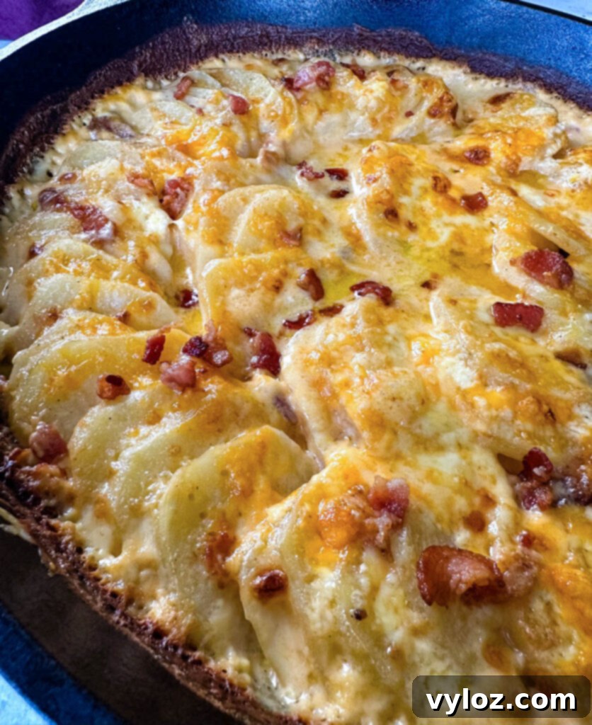 Decadent Bacon and Cheese Potato Gratin 11 cheesy bacon potatoes au gratin in a cast iron skillet