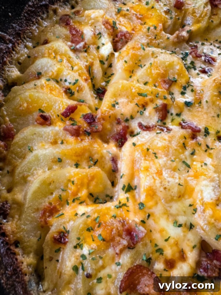Decadent Bacon and Cheese Potato Gratin 12 au gratin potatoes with bacon and cheese in a cast iron skillet