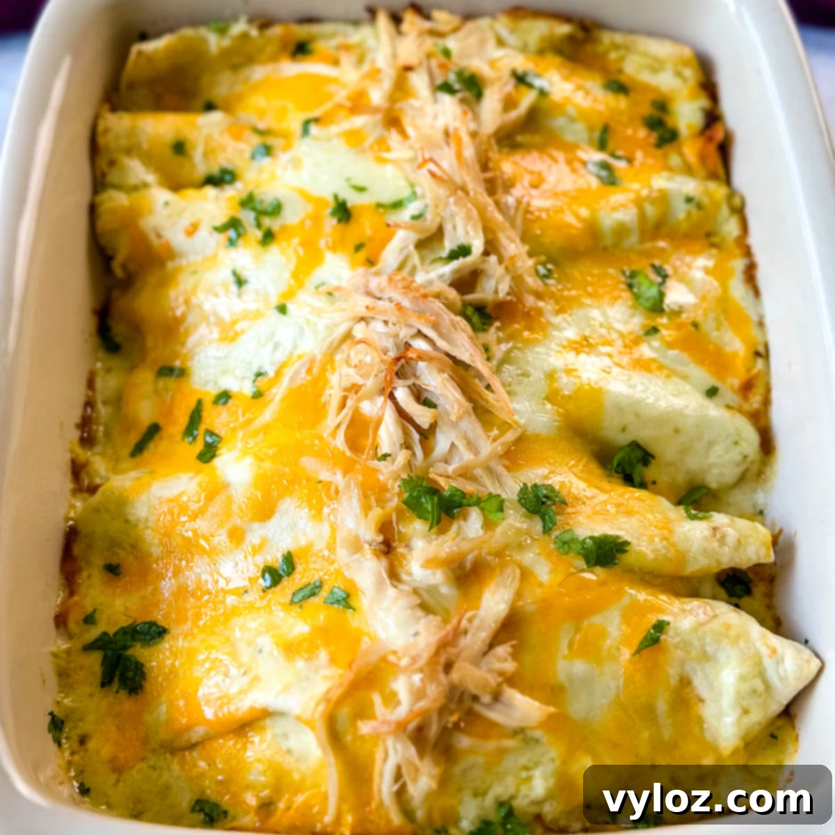 rotisserie chicken enchiladas in a red baking dish