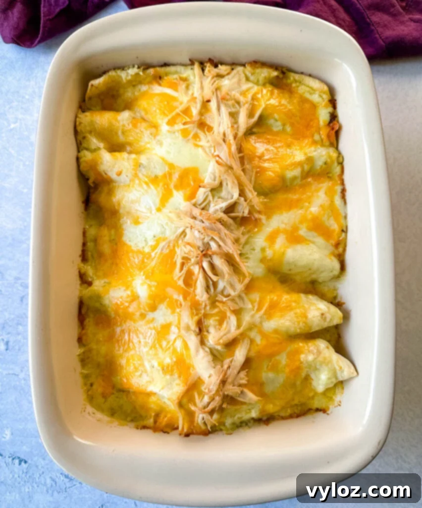 rotisserie chicken enchiladas in a red baking dish